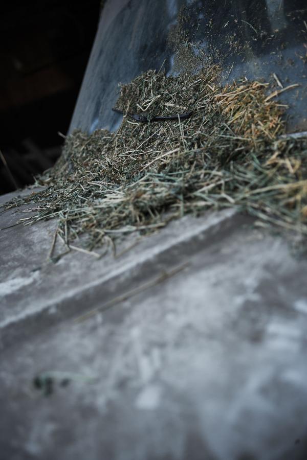 日本熟妇色xxxxx日本老妇-标清免费完整版高清