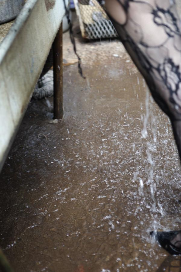 欧美猛少妇色XXXXX-国产亚洲综合网站-亚洲AV成人综合网伊人APP-Quad HD高清在线观看