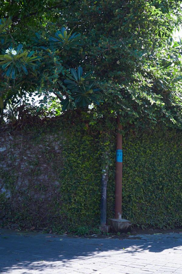 亚洲人成网网址在线看-720P一一影视网