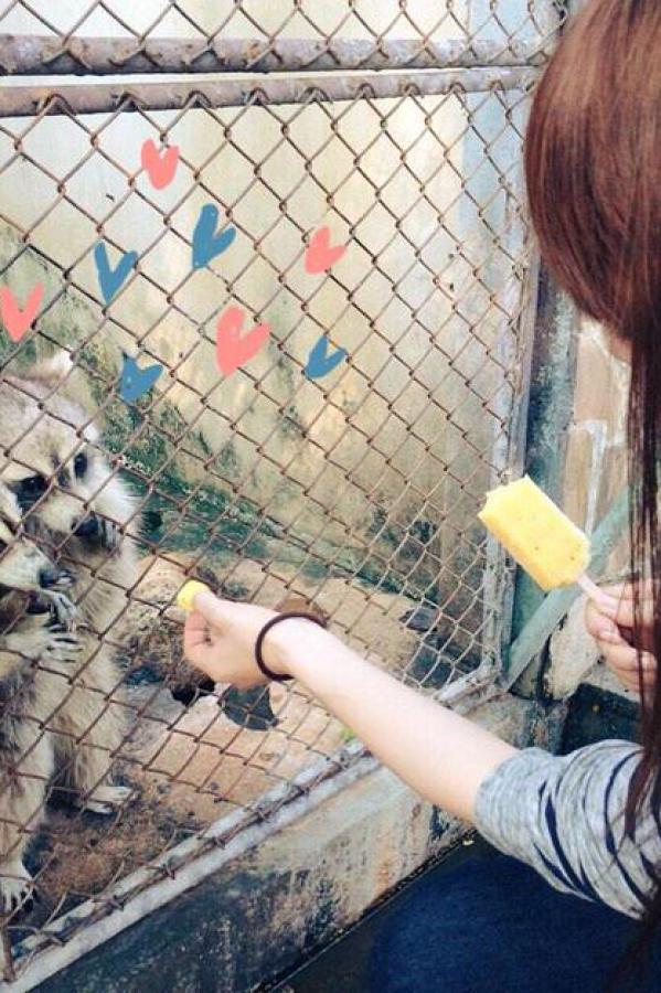 无码精品国产一区二区三区免费-久久久这里只有精品加勒比-欧美性乌克兰粗大猛烈17p-Ultra HD免费观看