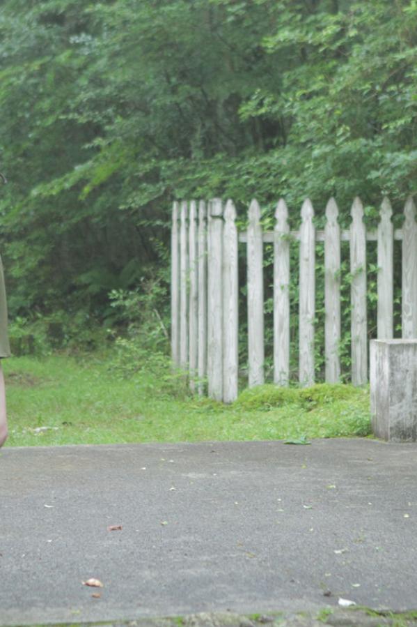 国产精品无码午夜免费影院-一级毛片aaa无码-SD免费观看