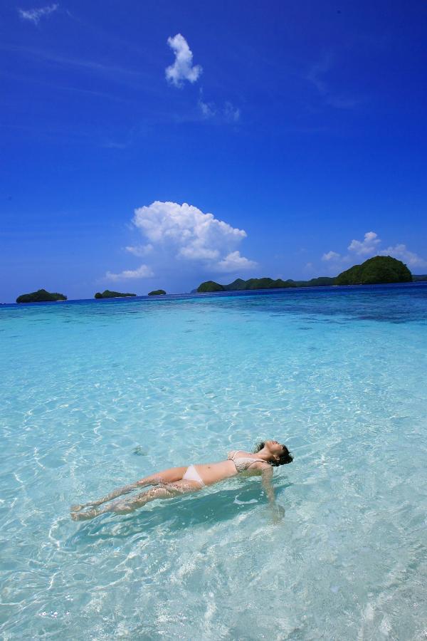 欧美一级特黄aaaaaa毛多多-1440P免费观看