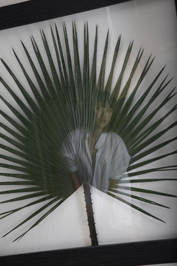 以及搞笑综艺节目-国产原创系列在线-4320P完整版BD高清中字