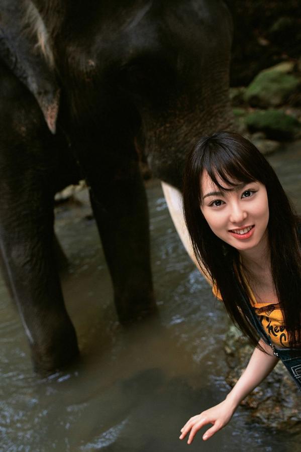 免费、-4320P日韩电影在线