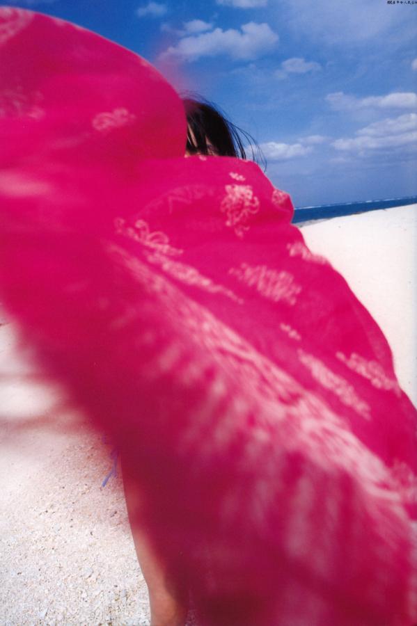 人妻 白嫩 蹂躏 惨叫-标清免费完整版在线观看