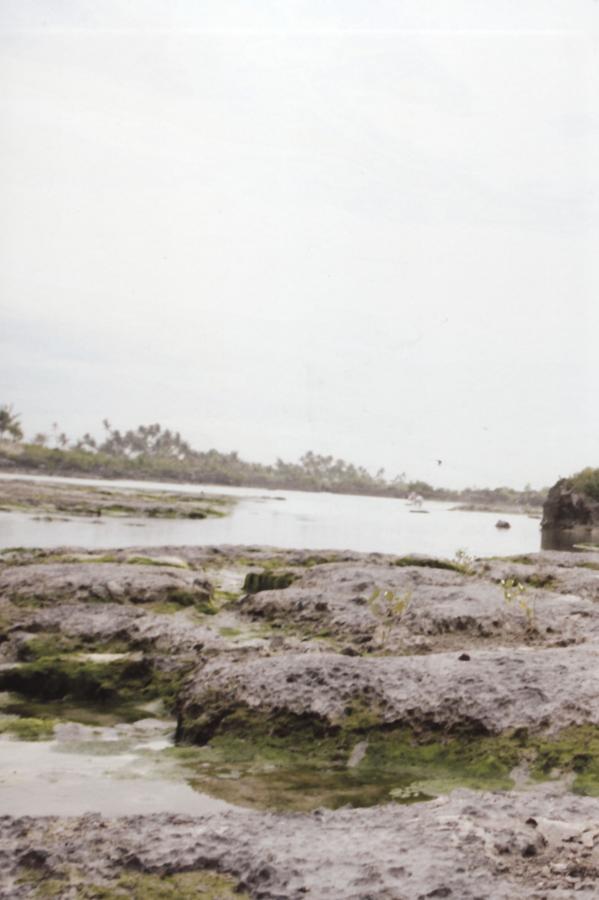 在线观看免费视频-8K视频大全