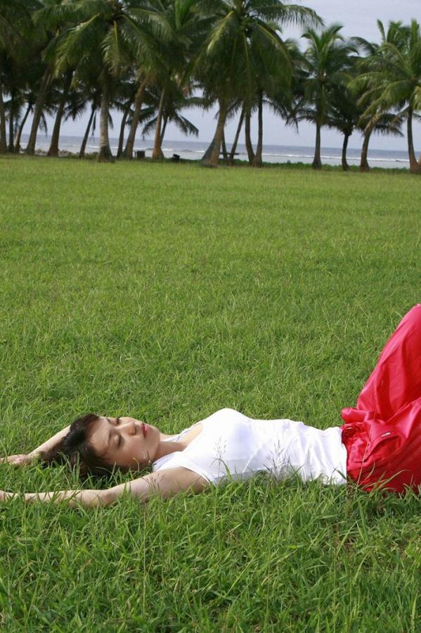 成人免费视频在WWW-青青草无码精品伊人久久蜜臀-SD全集国语版