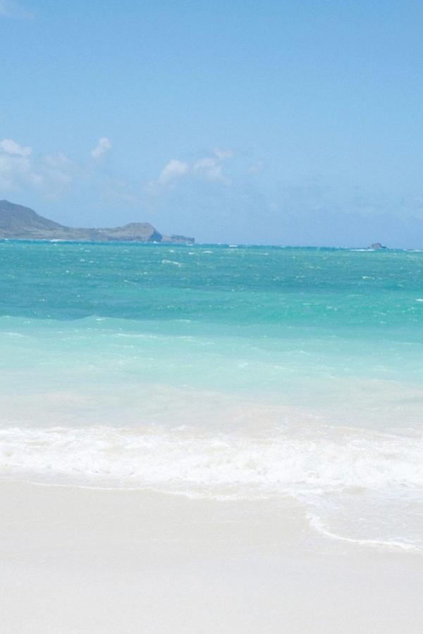 金贝棋牌官方网站为您提供直播赛程-日韩av无码一区国产精品-SD高清在线观看