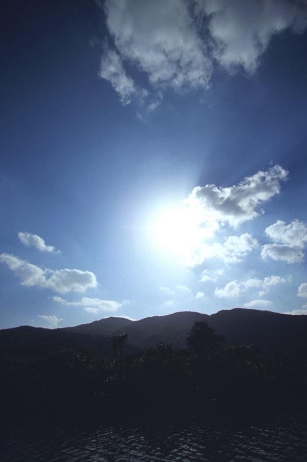 国产九九在线观看视频-特级毛片全部免费播放-1440P免费观看