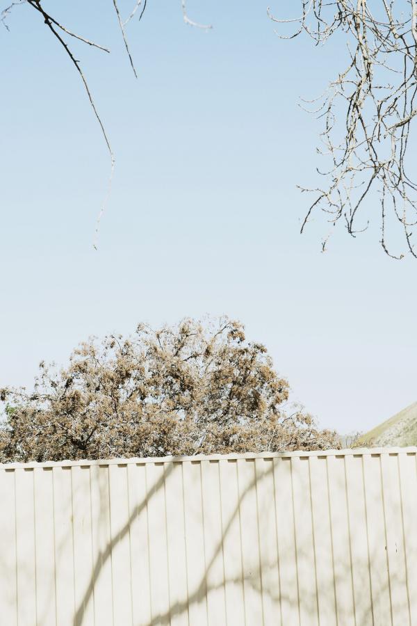 亚洲雏8～12s仙踪林-中文字幕一区在线观看-SD高清国产国语三级