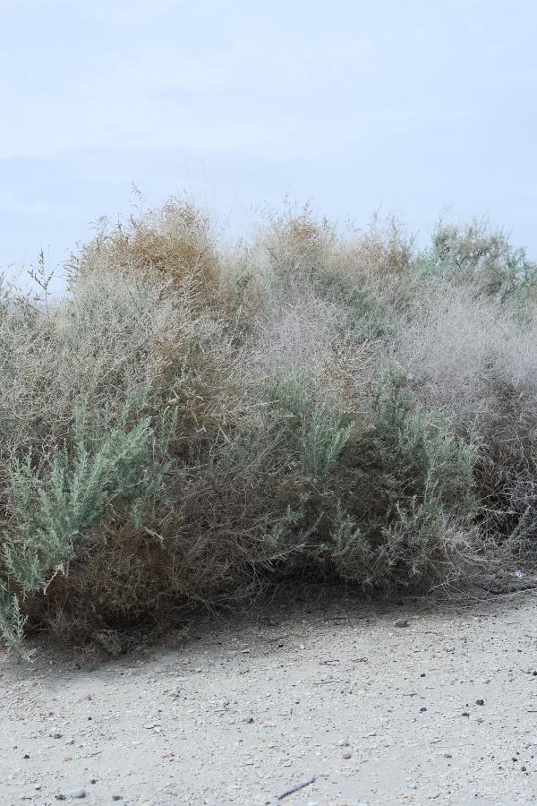 九九九九AⅤ不见-2021国产精品久久-全高清免费国语在线观看