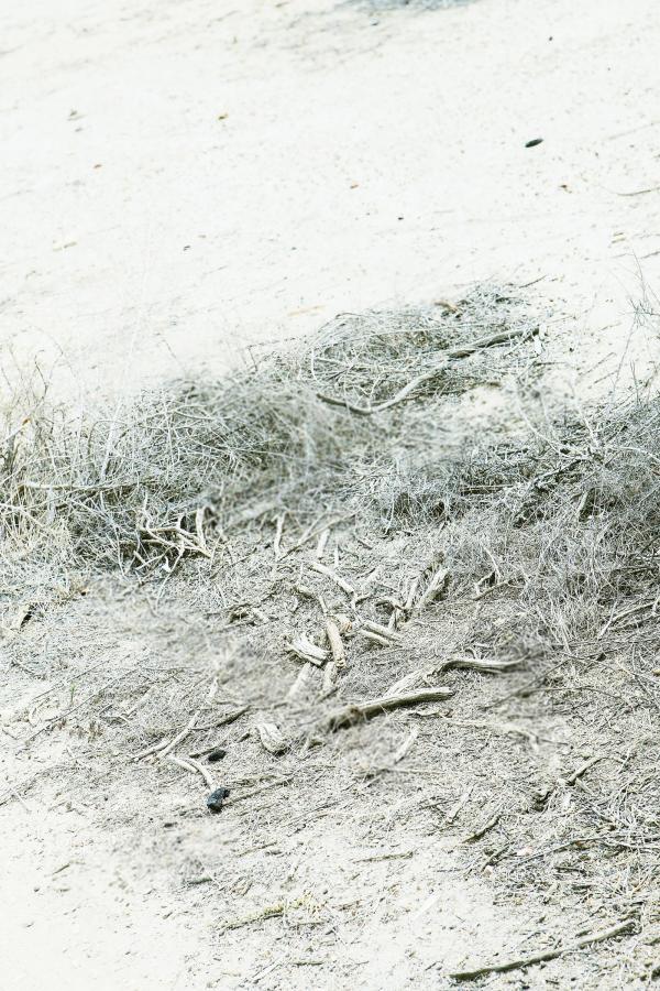 欧美级特黄AAAAAA片-久久国产免费观看视频-就爱干草视频-8K在线天堂新版