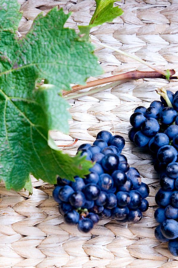 国产尤物主播福利在线观看-榴莲app在线下载进入直播-大伊香蕉精品视频一区-QHD中文字幕