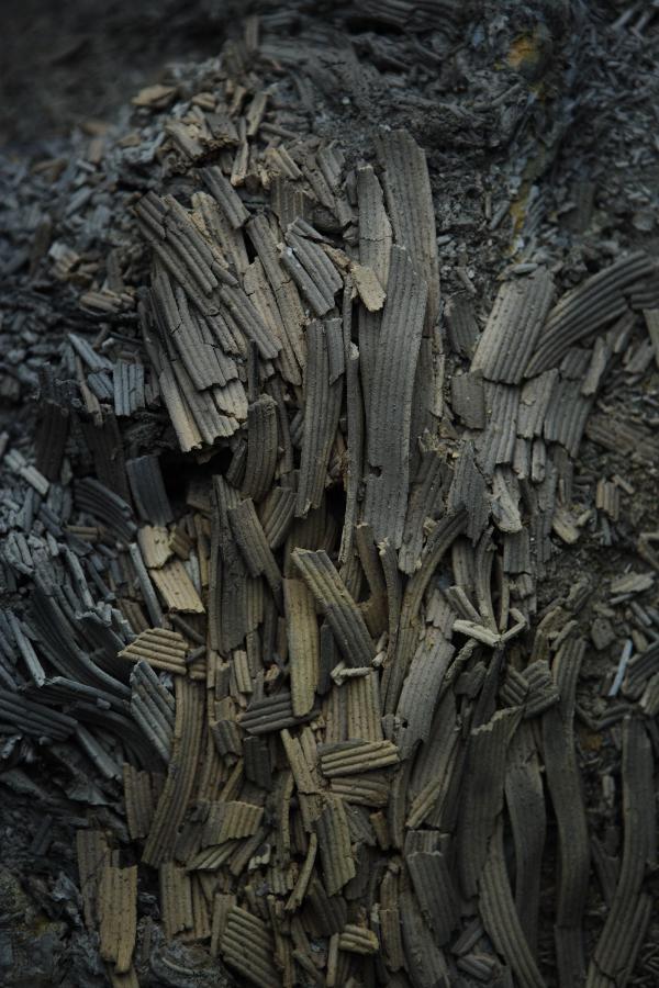 院线未删减完整版录播-全高清1080P迅雷高清下载