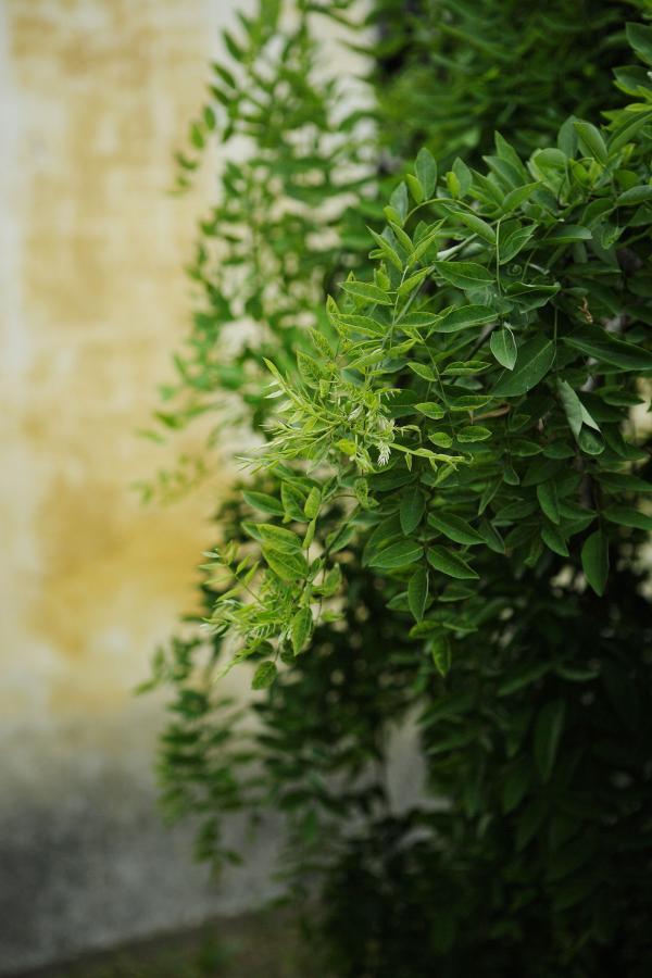 色AVAV色AV爱AVAV亚洲色拍-亚洲高清视频免费的一区-标清午夜快车高清完整版