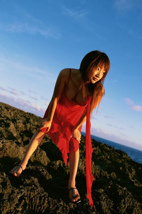 欧美一区二区三区激情视频-SD免费国语在线观看