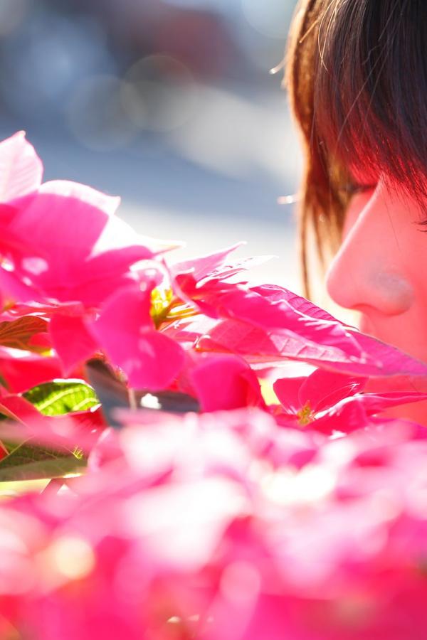 亚洲一级毛片免费在线观看-4320P电影免费在线