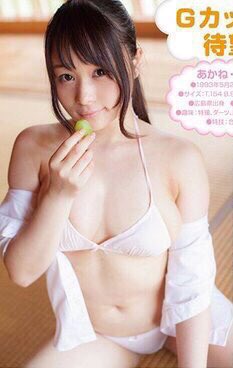 欧美风青草免费精品-三叶草gw4429-久久久噜噜噜久久电影-4320P完整视频观看