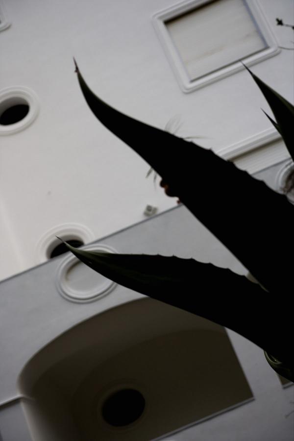 免费av手机在线观看不卡-全高清完整视频大全