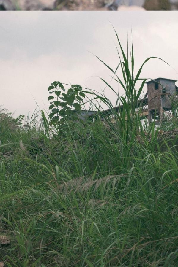 久久精品导航-日本A级作爱免费观看在线-1440P未删减完整版