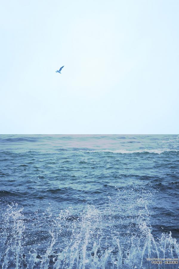 无码午夜福利区久久-全高清日韩电影在线