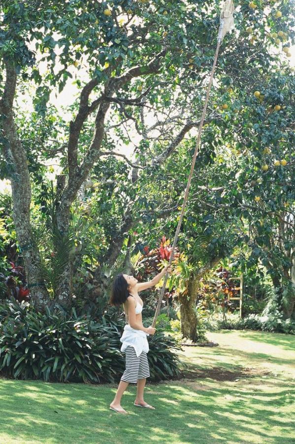 小鲜肉自慰网xnxx-Ultra HD高清在线www