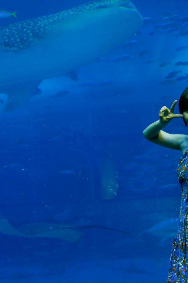 亚洲成a人片7777网站-国产喷白浆一区二区三区-高清免费高清观看