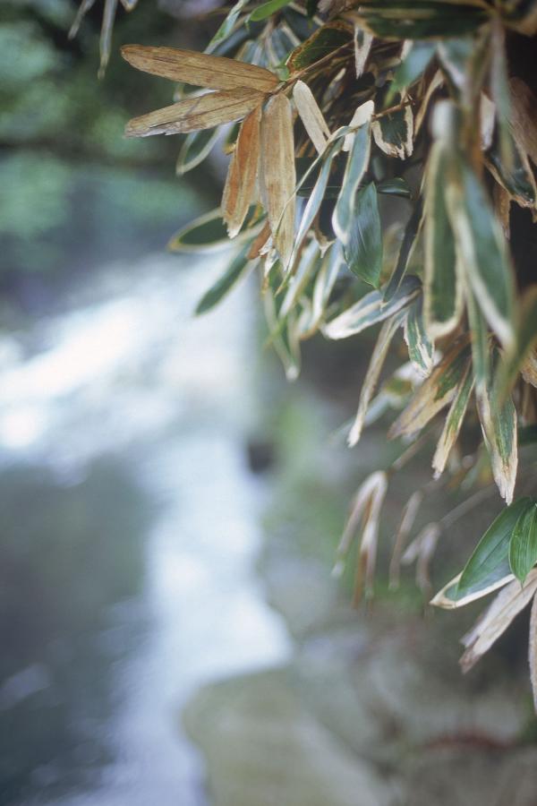 18禁免费裸乳裸体视频网站-高清无删减花絮-videossex双器官的人妖-全高清高清在线www