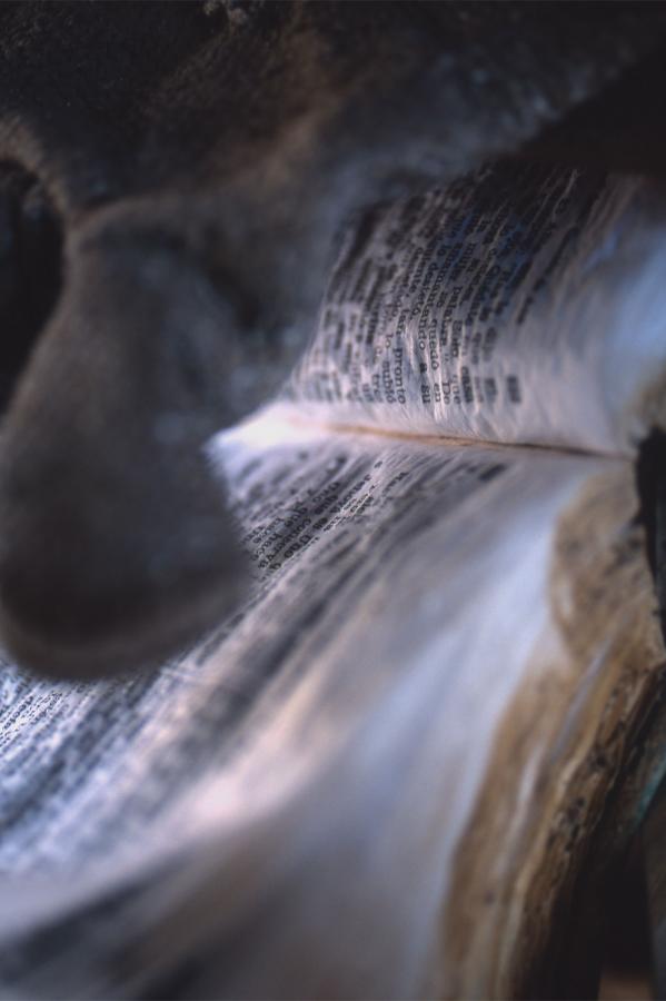 无码一区二区三区久久精品色欲-秋霞影院18禁止进入免费-4320P高清在线观看