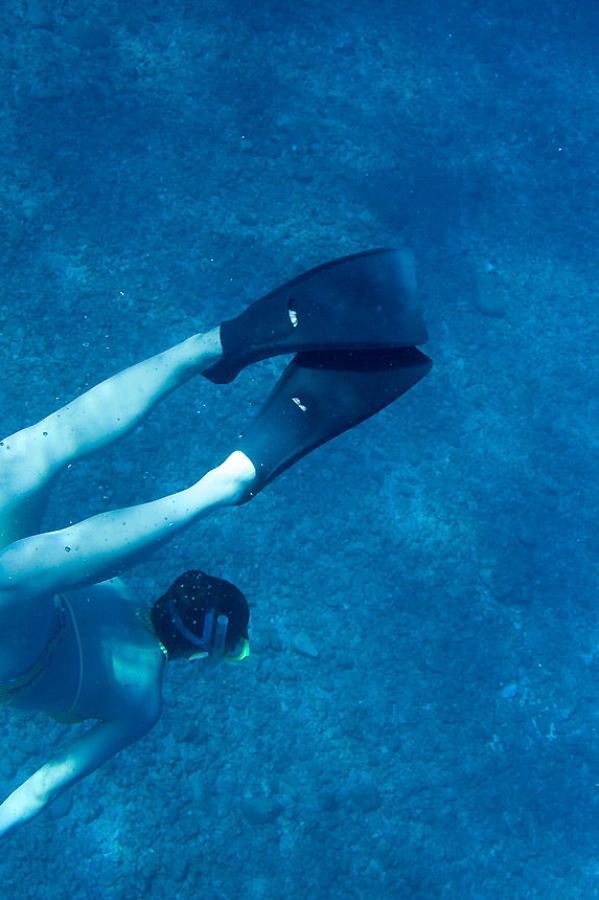 在线免费全集影院-日本一二区在线观看-Ultra HD字幕高清版在线播放