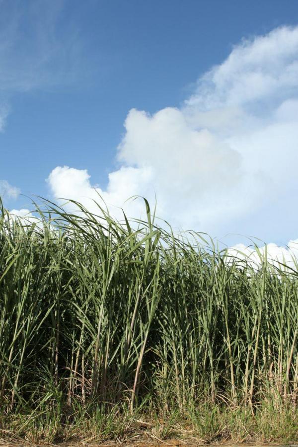 国产会所俄罗斯在线播放洋妞-Quad HD免费观看高清版