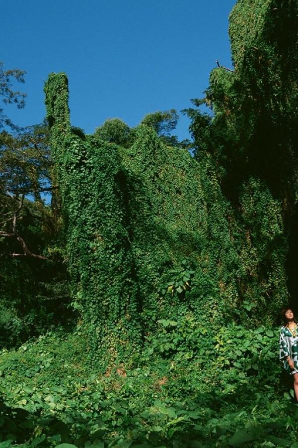 国产女人乱子对白AV片不卡-v2ba永久播放地址一二-4K高清版完整版未删减