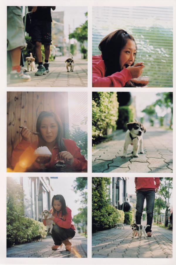 鸥美一级黄色片-全高清西瓜视频在线观看