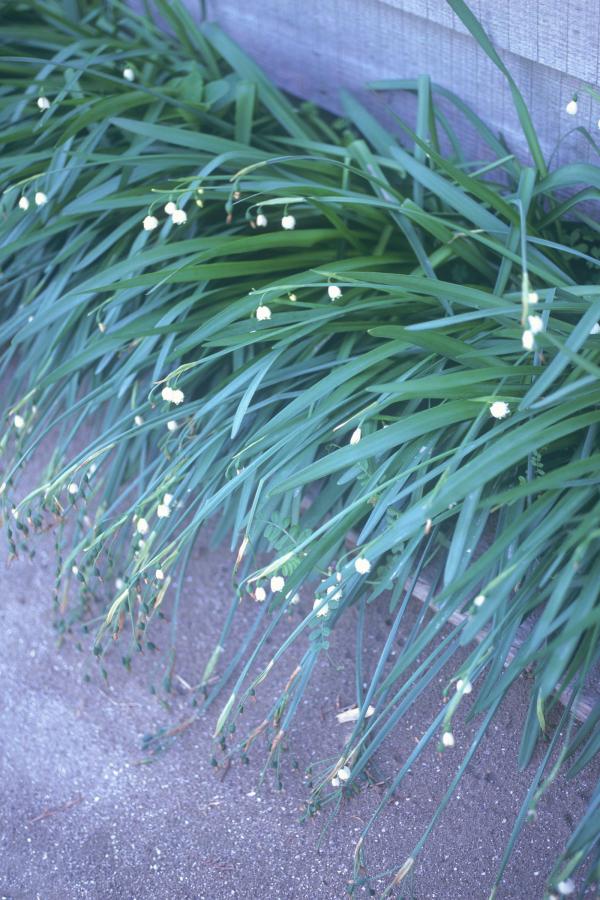 亚洲av无码乱码一级毛片国产-SD免费观看视频中文