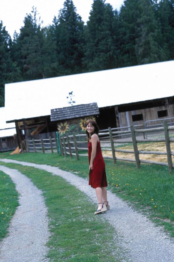 cl2017地址一地址二-1440P国产在线观看