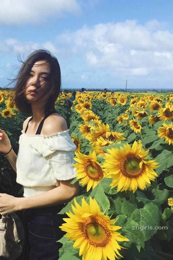 成人亚洲欧美激情在线电影-Ultra HDDVD国语在线观看