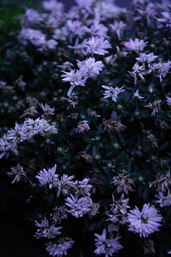 国产多人群p刺激交换视频-国产一品道av在线一二三区资讯-国产免费福利体检区久久-HD高清完整版在线