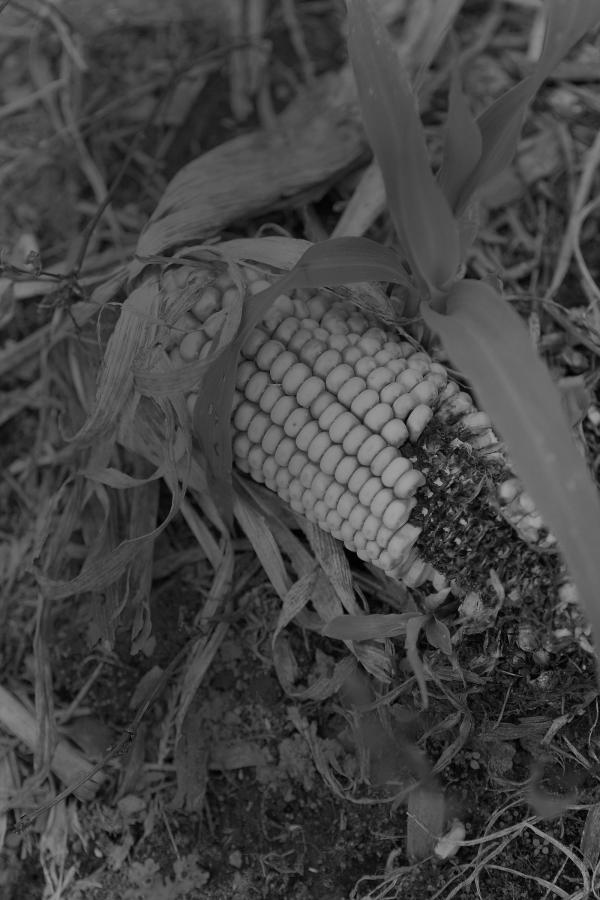 18禁无遮挡啪啪摇乳动态图-日日摸夜夜摸狠狠摸97-Quad HD高清在线观看