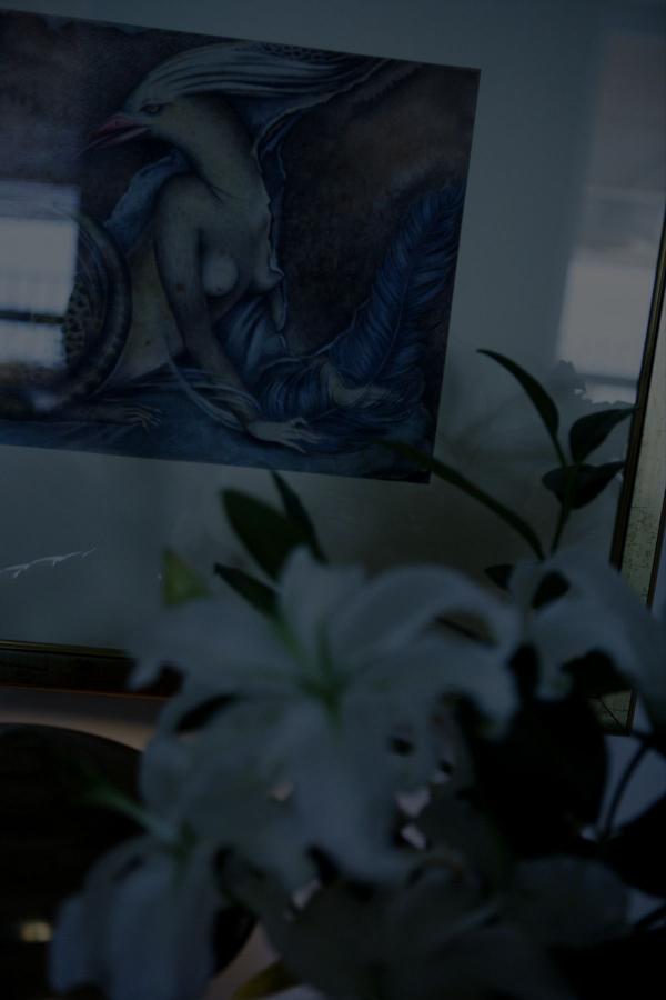 四虎永久在线精品免费影视-2160P免费在线观看