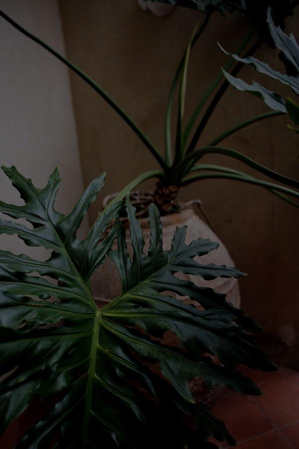 亚洲国产m3u8在线观看-Full HD高清在线观看