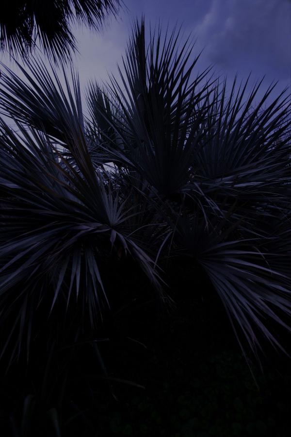 亚洲伊人色欲综合网无码-欧美成人精品一区二区综合a片-爱豆传媒最新视频在线观看-8K在线影院观看