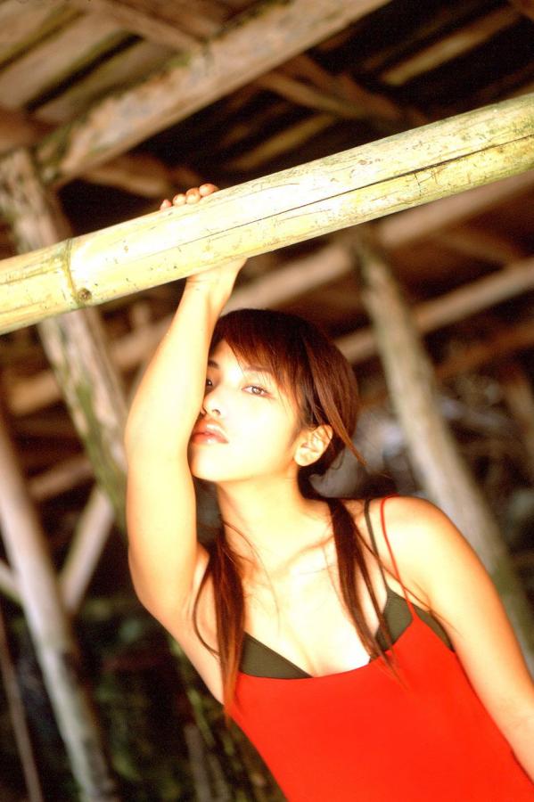 亚洲一区二区三区播放在线-亚洲精品无码av专区最新-美国私人vps毛片大屁股的-Ultra HD在线天堂新版