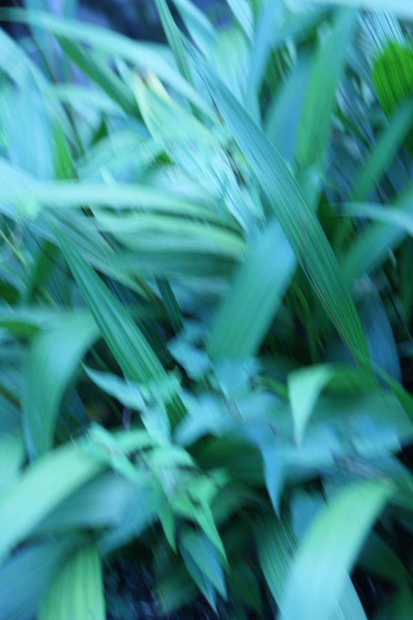 国产精品无码AV无码国产-国产精品99精品免费无码视频-狠狠爱天天综合网-SD普通话在线观看