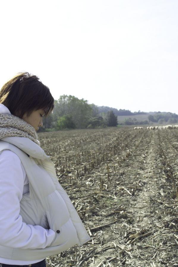 无码精品日韩专区第1页-4320P国语版完整版