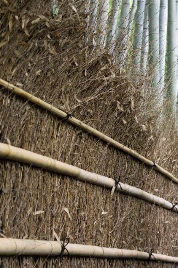 99久久中文精品无码中文字幕-SD神马影院在线