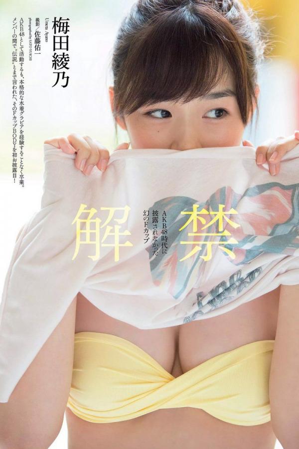 国产真人无码AV在线观看-JAPANESE极品丰满少妇-全高清在线播放