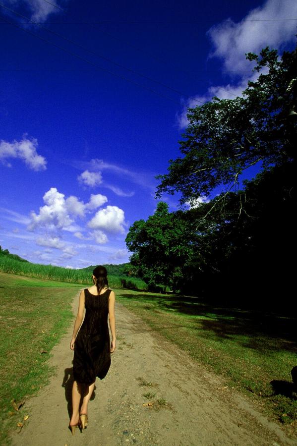 青青草国产精品亚洲专区无码-伊人网站在线观看-久久综合亚洲色hezyo-QHD完整版在线观看