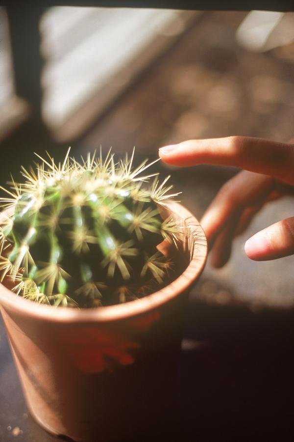 亚洲色资源在线精品-高清免费观看高清版