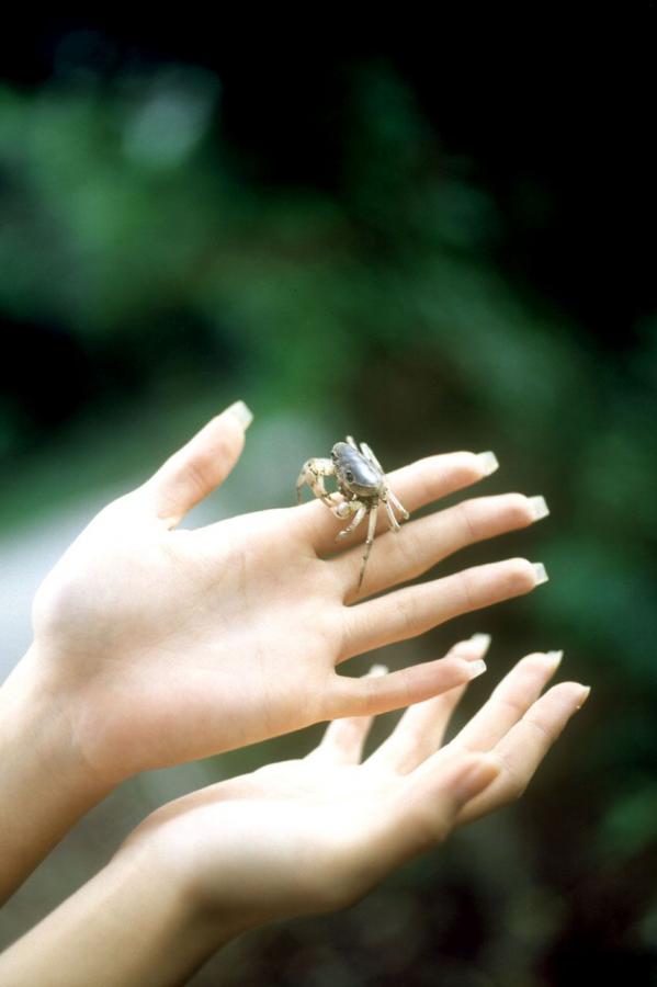 99国产精品久久久久99-Ultra HD在线视频网