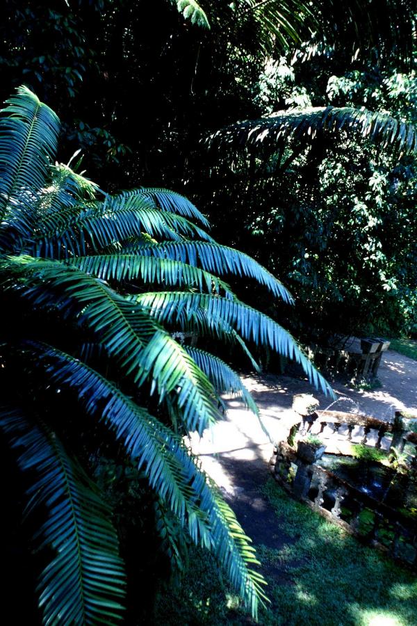 免费观看国产不卡福利-www.九色.com-4320P天天看高清特色大片